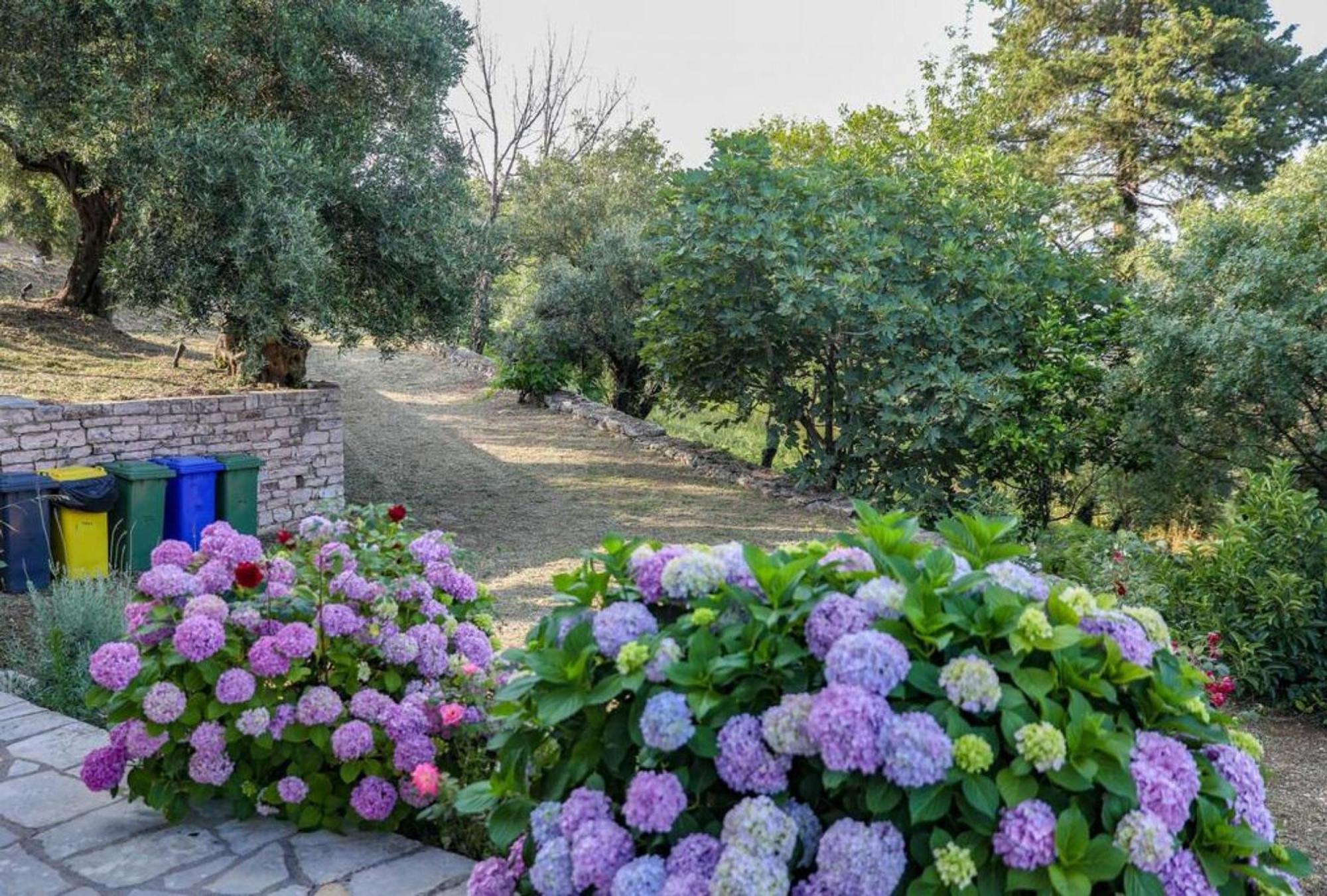 Sinies Stone Cottage - Ne Corfu Agnítsini Exteriér fotografie