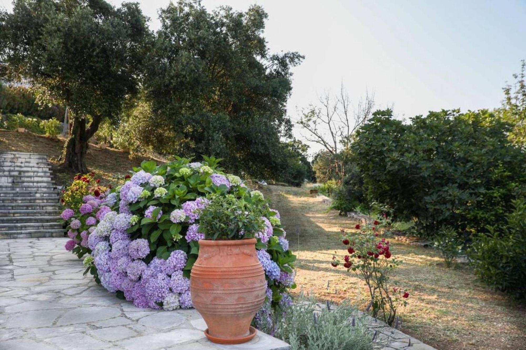 Sinies Stone Cottage - Ne Corfu Agnítsini Exteriér fotografie